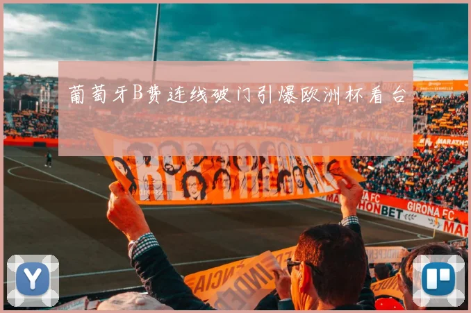 葡萄牙B费连线破门引爆欧洲杯看台