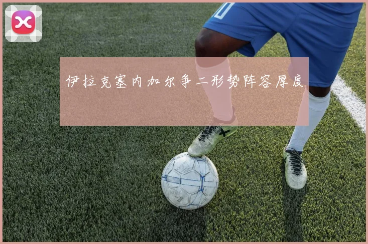 伊拉克塞内加尔争二形势阵容厚度