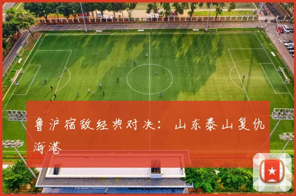 鲁沪宿敌经典对决：山东泰山复仇海港