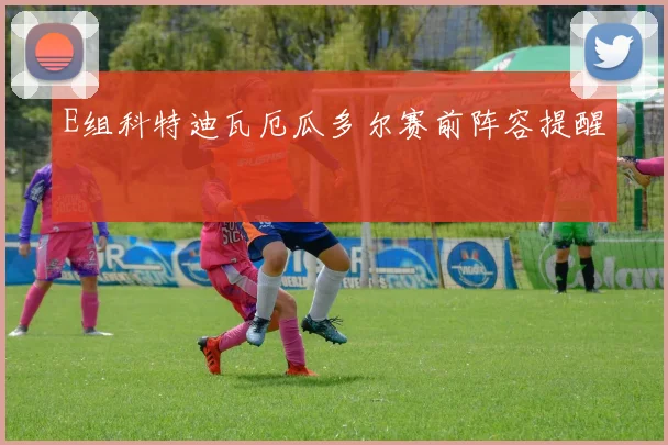 E组科特迪瓦厄瓜多尔赛前阵容提醒